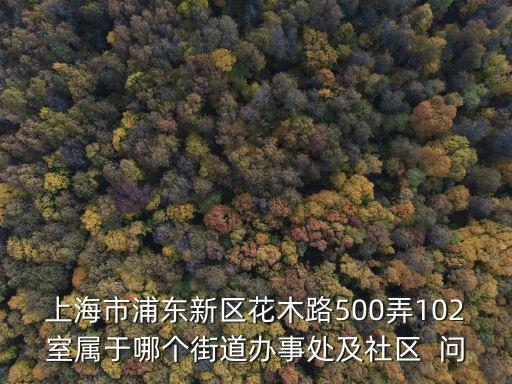 上海市浦東區(qū)花木路，上海浦東花木路錦繡路可以讓小孩子去的網(wǎng)吧