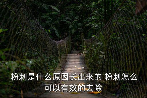  粉刺是什么原因長出來的 粉刺怎么可以有效的去除