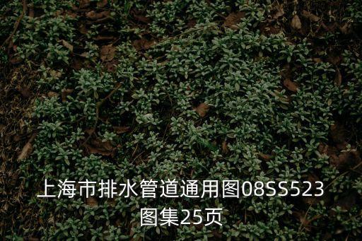 上海市排水管道通用圖1 4，上海市排水管道通用圖08SS523圖集25頁