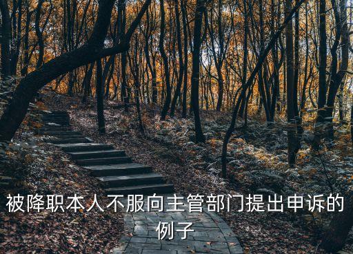 被降職本人不服向主管部門提出申訴的例子