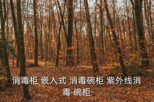 深圳奧宇立式消毒柜，消毒柜 嵌入式 消毒碗柜 紫外線消毒 碗柜