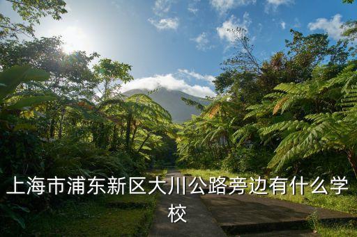 上海市浦東新區大川公路旁邊有什么學校