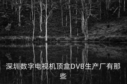 深圳數(shù)字電視機頂盒DVB生產(chǎn)廠有那些
