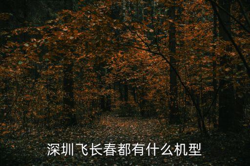 深圳飛長春都有什么機型