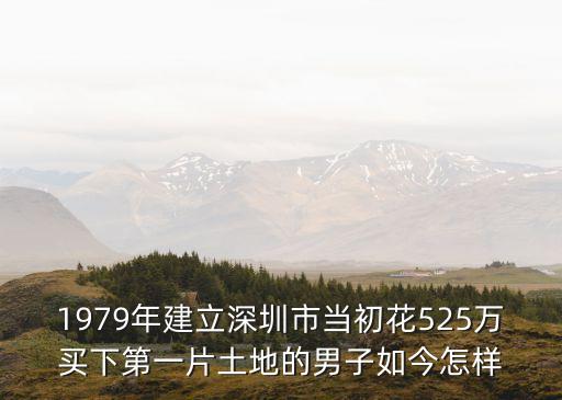 建設深圳特區花了多少錢，武漢援建深圳花了多大代價