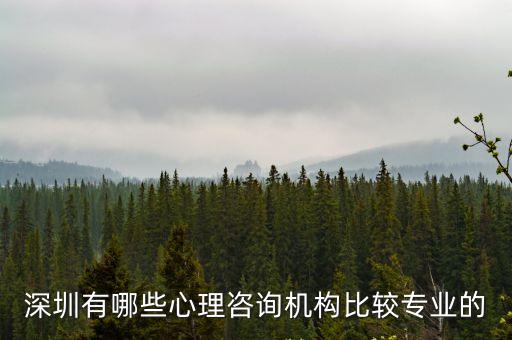 深圳有哪些心理咨詢機構(gòu)比較專業(yè)的