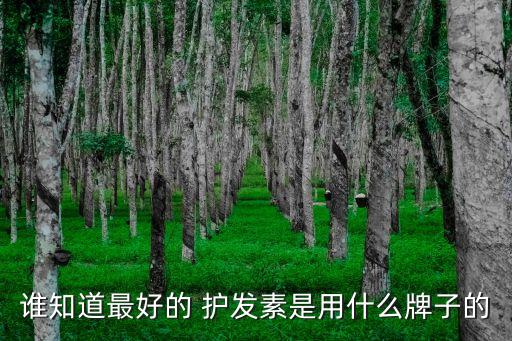 誰知道最好的 護發素是用什么牌子的