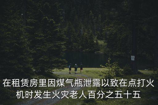 在租賃房里因煤氣瓶泄露以致在點打火機時發生火災老人百分之五十五