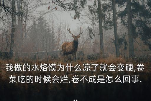 我做的水烙饃為什么涼了就會變硬,卷菜吃的時候會爛,卷不成是怎么回事...