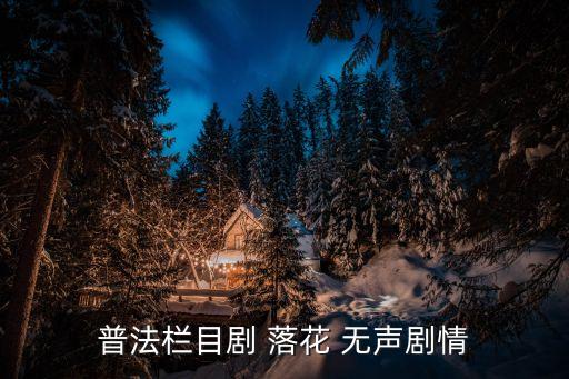 落花無聲,花落有聲花開無聲