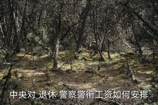 中央對 退休 警察警銜工資如何安排