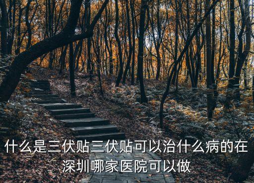 什么是三伏貼三伏貼可以治什么病的在深圳哪家醫院可以做