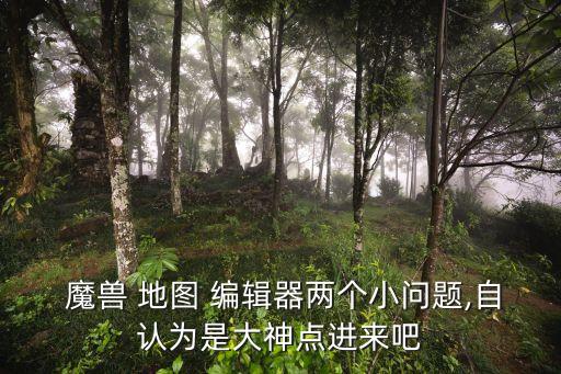  魔獸 地圖 編輯器兩個(gè)小問題,自認(rèn)為是大神點(diǎn)進(jìn)來吧