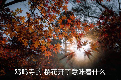 雞鳴寺的 櫻花開了意味著什么