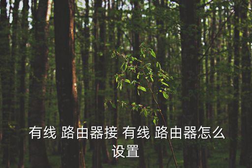 有線路由器,這些路由器你準備好了嗎?