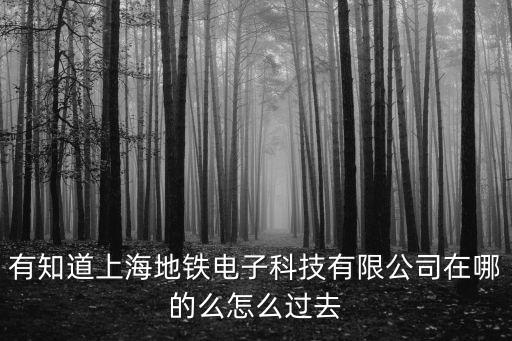 有知道上海地鐵電子科技有限公司在哪的么怎么過去