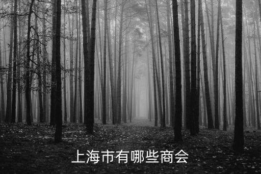 上海市有哪些商會