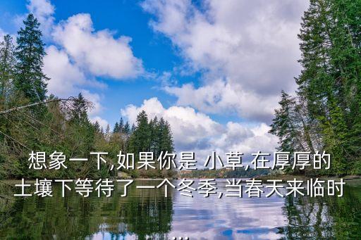 假如我是一棵小草,我是一棵小草_作文:一顆小水滴就能壓彎