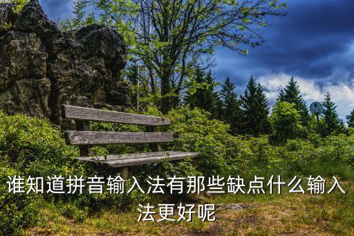 誰知道拼音輸入法有那些缺點什么輸入法更好呢