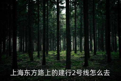 上海東方路上的建行2號線怎么去