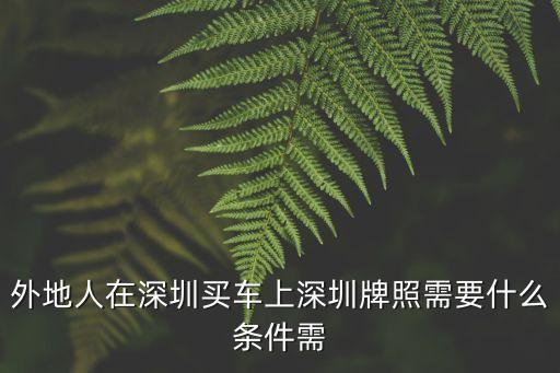 外地人在深圳買車上深圳牌照需要什么條件需