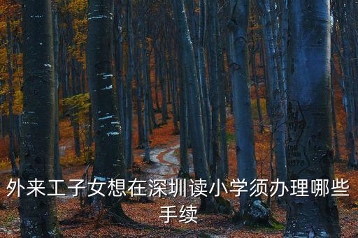 外來工子女想在深圳讀小學(xué)須辦理哪些手續(xù)