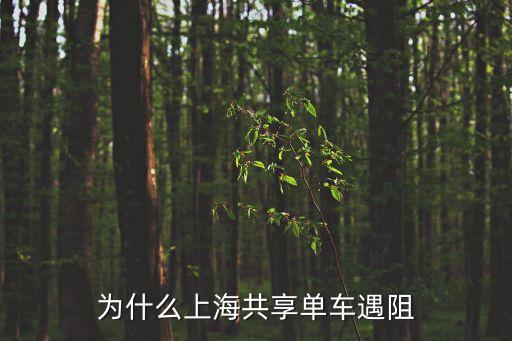 上海市共享單車投放情況，為什么三線城市迅速普及共享單車的同時一二線城市卻在限管