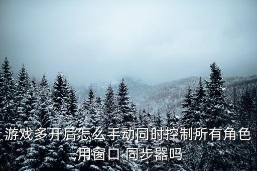 游戲多開后怎么手動同時控制所有角色,用窗口 同步器嗎