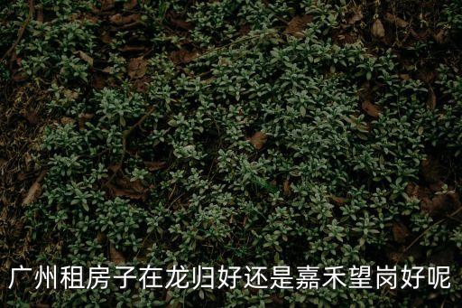廣州租房子在龍歸好還是嘉禾望崗好呢