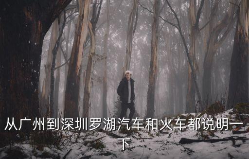 從廣州到深圳羅湖汽車和火車都說明一下