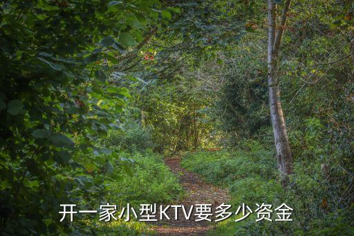 廣州迷你ktv怎么投資，開一家小型KTV需要多少錢