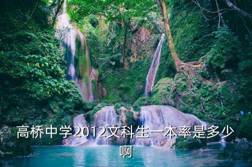 上海市高橋中學本科率，高橋中學2012文科生一本率是多少啊