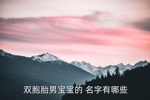 雙胞胎名字大全,姓陳女孩雙胞胎名字大全