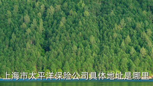 上海市太平洋保險(xiǎn)公司具體地址是哪里