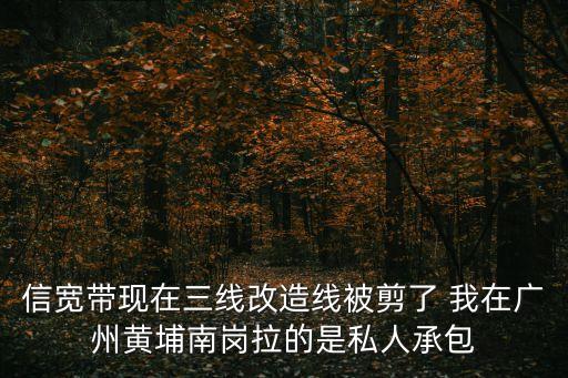 信寬帶現(xiàn)在三線改造線被剪了 我在廣州黃埔南崗拉的是私人承包