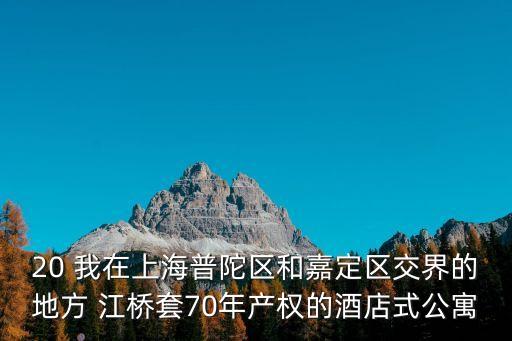 20 我在上海普陀區和嘉定區交界的地方 江橋套70年產權的酒店式公寓