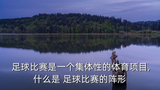  足球比賽是一個(gè)集體性的體育項(xiàng)目,什么是 足球比賽的陣形