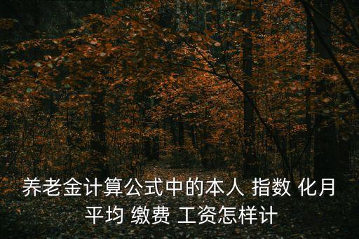 養老金計算公式中的本人 指數 化月 平均 繳費 工資怎樣計