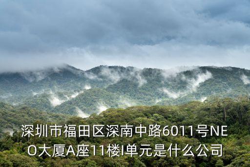 深圳市福田區深南中路6011號NEO大廈A座11樓I單元是什么公司