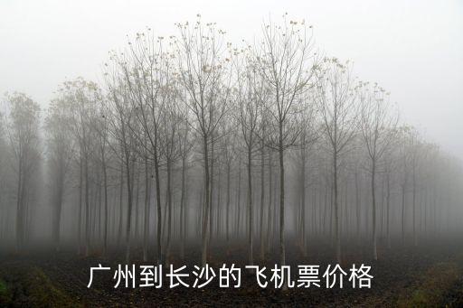 廣州到長沙的飛機票價格
