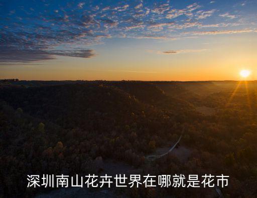 深圳南山鮮花，深圳南山花卉世界在哪里