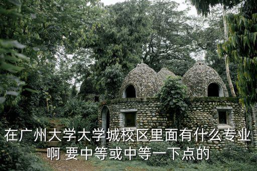 在廣州大學大學城校區里面有什么專業啊 要中等或中等一下點的