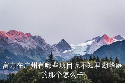 富力在廣州有哪些項(xiàng)目呢不知君湖華庭的那個(gè)怎么樣