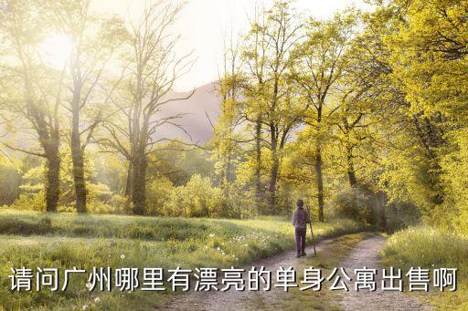請問廣州哪里有漂亮的單身公寓出售啊