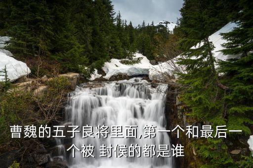 曹魏的五子良將里面,第一個和最后一個被 封候的都是誰