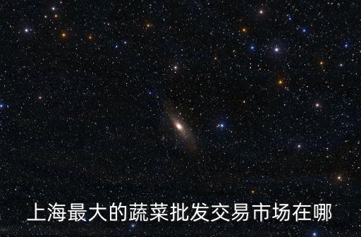 上海最大的蔬菜批發(fā)交易市場(chǎng)在哪