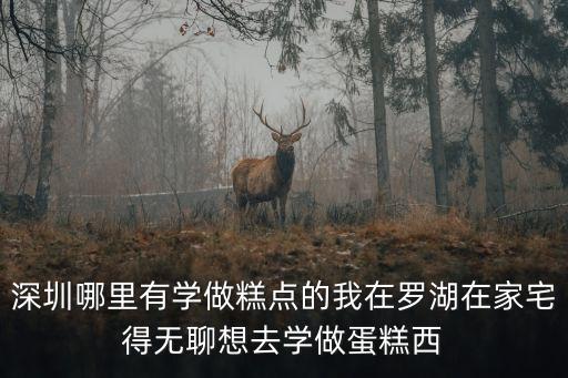 深圳學中點，深圳哪里有學做糕點的我在羅湖在家宅得無聊想去學做蛋糕西