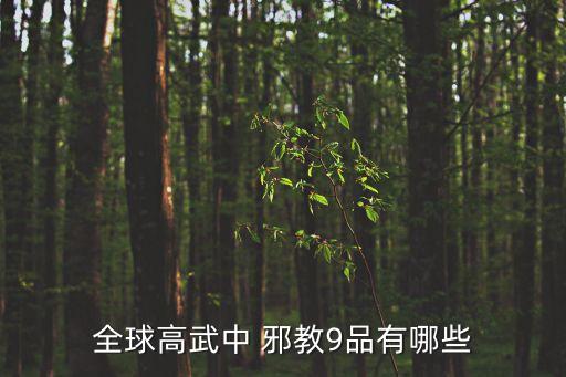 全球高武中 邪教9品有哪些