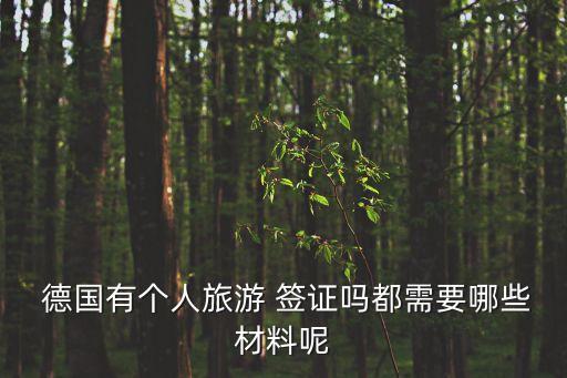  德國有個人旅游 簽證嗎都需要哪些材料呢
