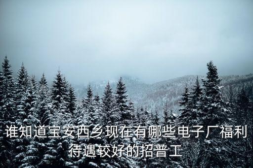 深圳寶安西鄉南泰 偉創力 新安 四大光電，深圳西鄉偉創力